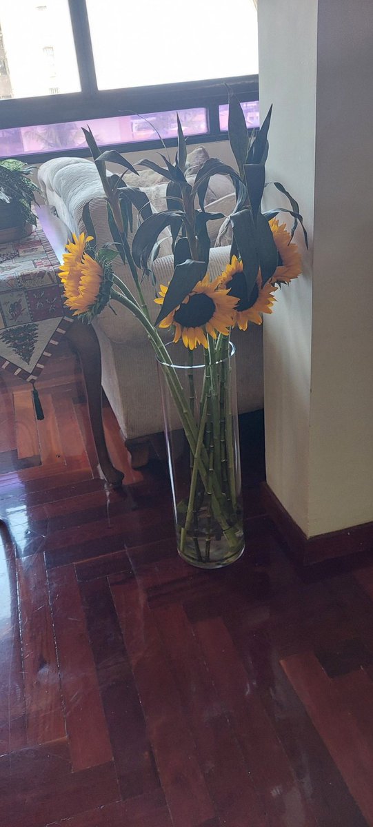 Tenía este florero abandonado.  Vi estos Girasoles y no lo dude.