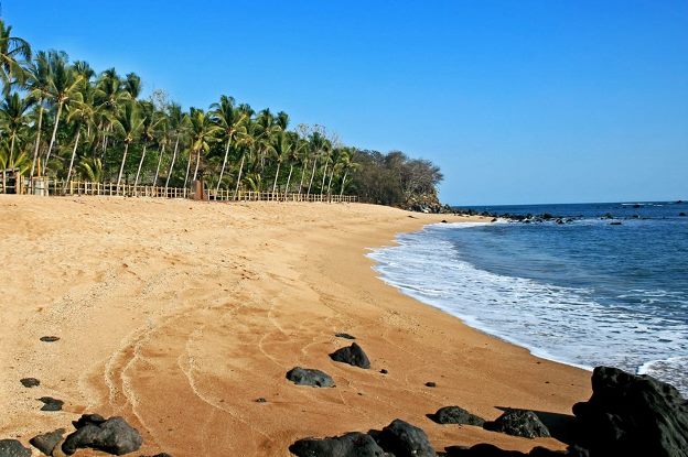 ElTrompudo2022's tweet photo. Bukele compró casi 14,000 m² de terreno en la playa de Los Cóbanos, una zona Ramsar, es decir, reconocida internacionalmente por su valor ecológico como humedal de importancia mundial, protegida por convenio desde 1971. Esta área, por ley, es inalienable, no privatizable y mucho menos urbanizable sin estudios ambientales ni autorización legal. Pero el dictador, usando una sociedad que fundó con su esposa, pagó un millón de dólares por ese terreno, aprovechando su acceso a información privilegiada y el control absoluto que ejerce sobre las instituciones ambientales. Este hecho no es solo corrupción: es saqueo ambiental institucionalizado. La función pública y la protección ecológica han sido reducidas a instrumentos de enriquecimiento personal.