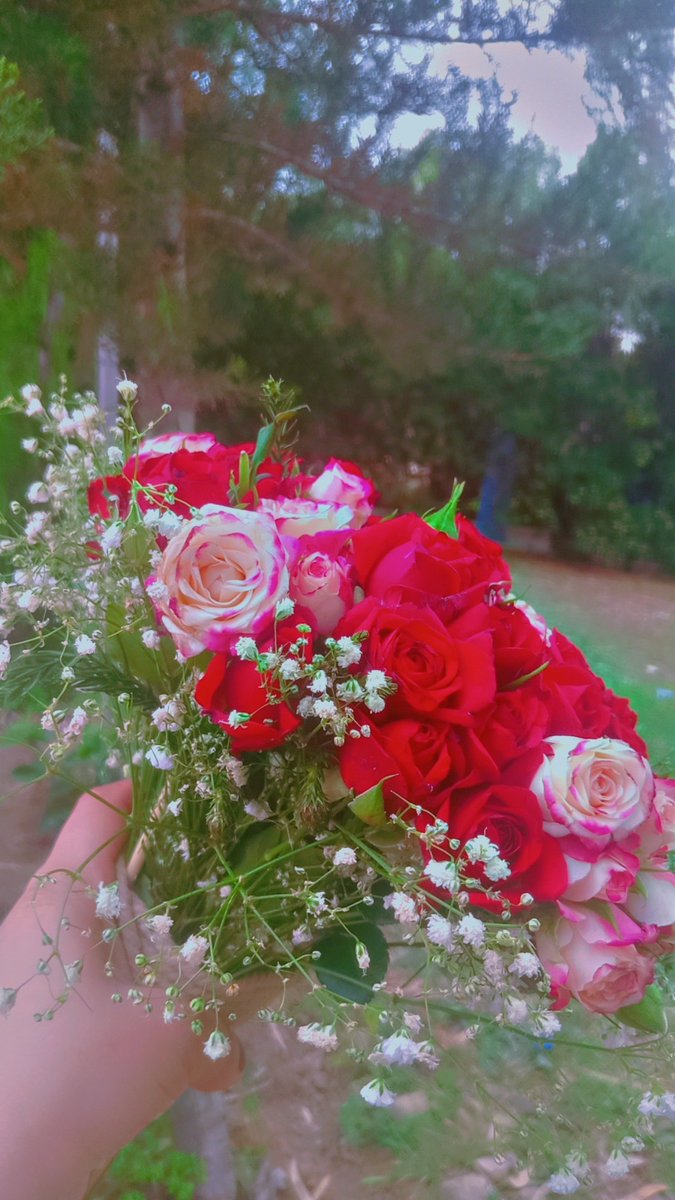 BarzYara's tweet photo. 🌷🌾 https://t.co/aZQxrNLTGS