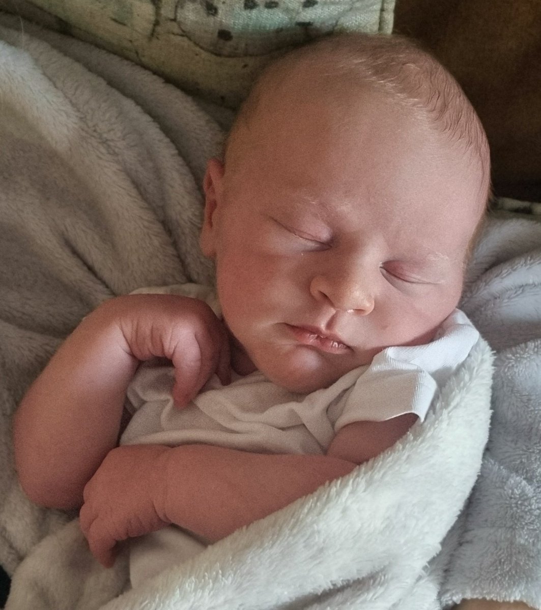 MrsSolomonsHistory (@mrssolomons15) on Twitter photo Jonas Benjamin.
2.4.25.
Our final puzzle piece. β₯οΈ Jonas Benjamin.
2.4.25.
Our final puzzle piece. β₯οΈ