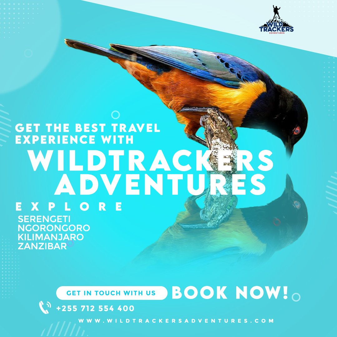 Wild Trackers Adventures (@wildtrackers_) / Posts / X