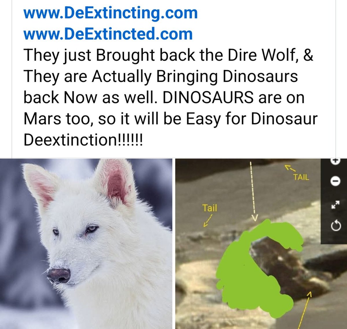250DOLLARBILL's tweet image. DeExtincting.com
DeExtincted.com
They just Brought back the Dire Wolf, &amp;amp; They are Actually Bringing Dinosaurs back Now as well. DINOSAURS are on Mars too, so it will be Easy for Dinosaur Deextinction!!!!!!
