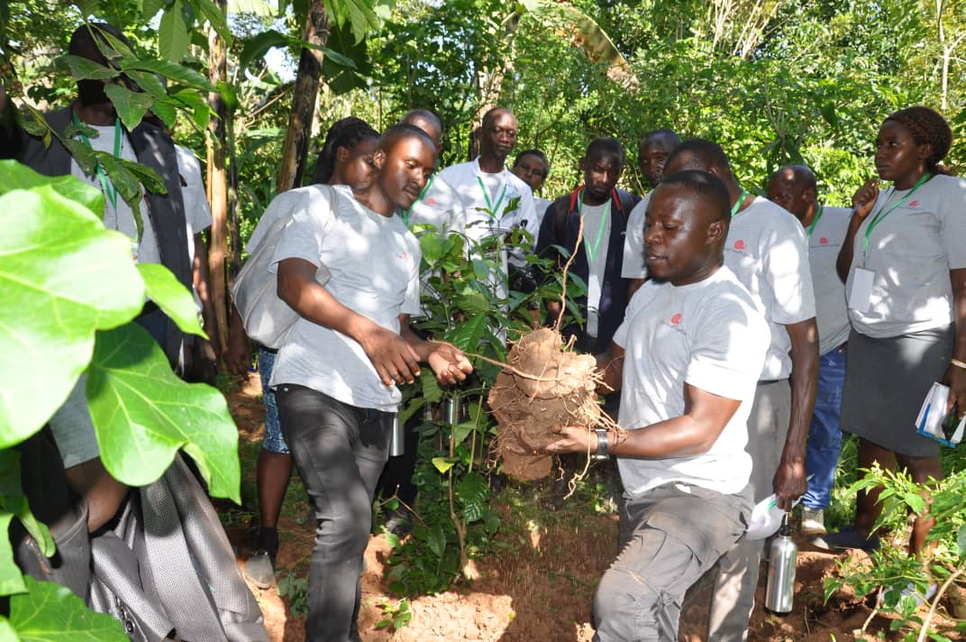 slowfooduganda's tweet photo. Day 2 of the Agroecology Learning Exchange was conducted successfully. 
Participants visited Alwana Natural farm &amp; Shoreline Organic Farm, gaining hands on experience in soil management, animal rearing &amp;local poultry farming, deepening their understanding of Agroecology #ALE2025 https://t.co/CLdOwHib4C