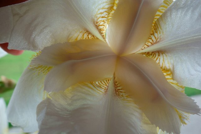 “To turn separate-ness into Oneness is to realize the truth”. RJ Spina