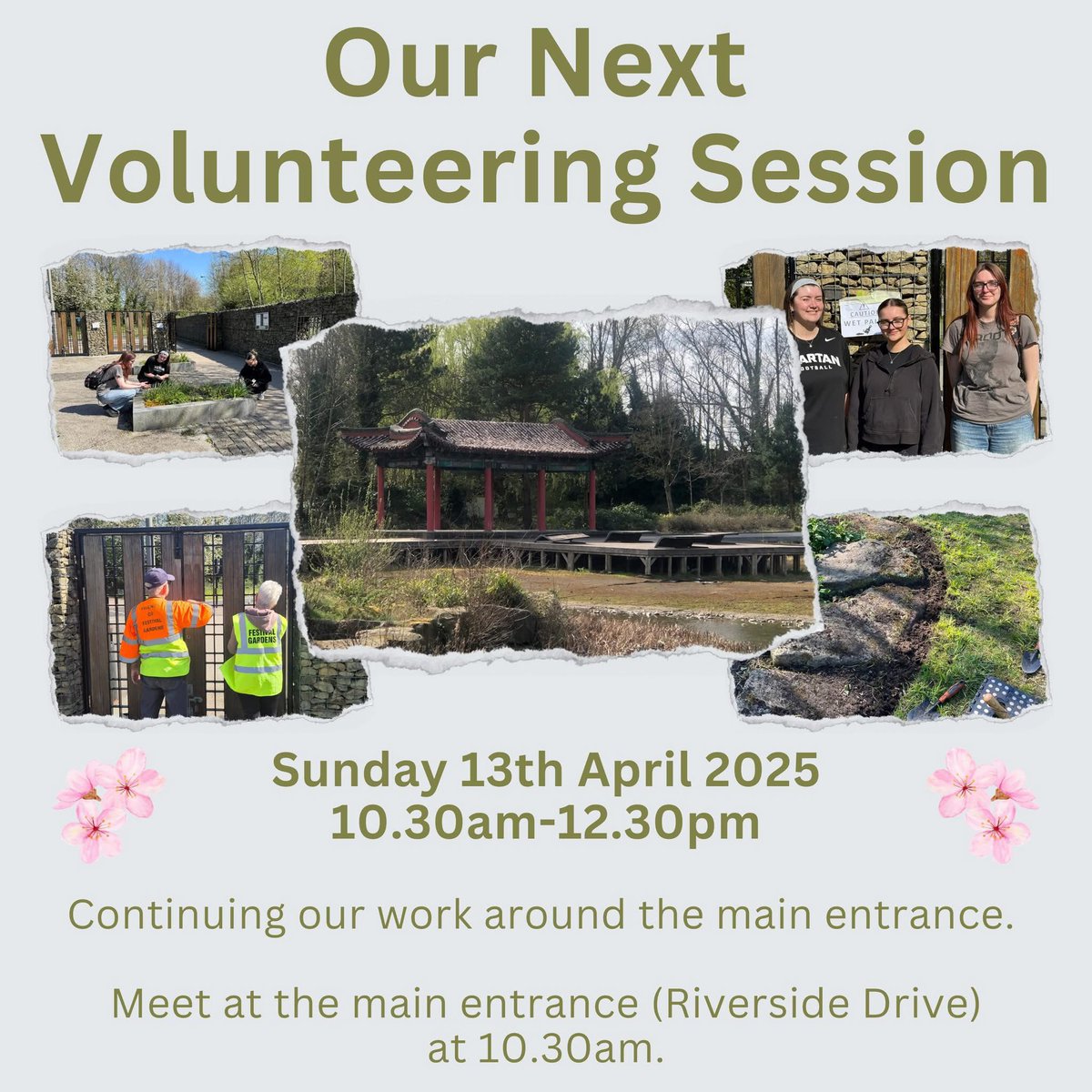 Friends of Festival Gardens this Sunday…