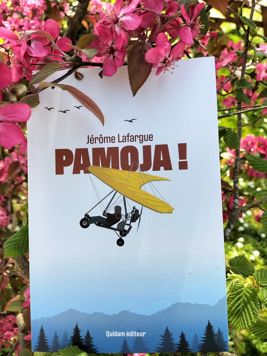 Pamoja !
<a href="/JeromeLafa27378/">Jerome Lafargue</a> 
Éditions Quidam
✨✨✨✨✨
Ils pénétraient dans un royaume où noblesse et sauvagerie appartenaient au même camp des justes.
Comme l'exprime si bien Marc Twain : Ils ne savaient pas que c'était impossible, alors ils l'ont fait."
La belle fraternité.