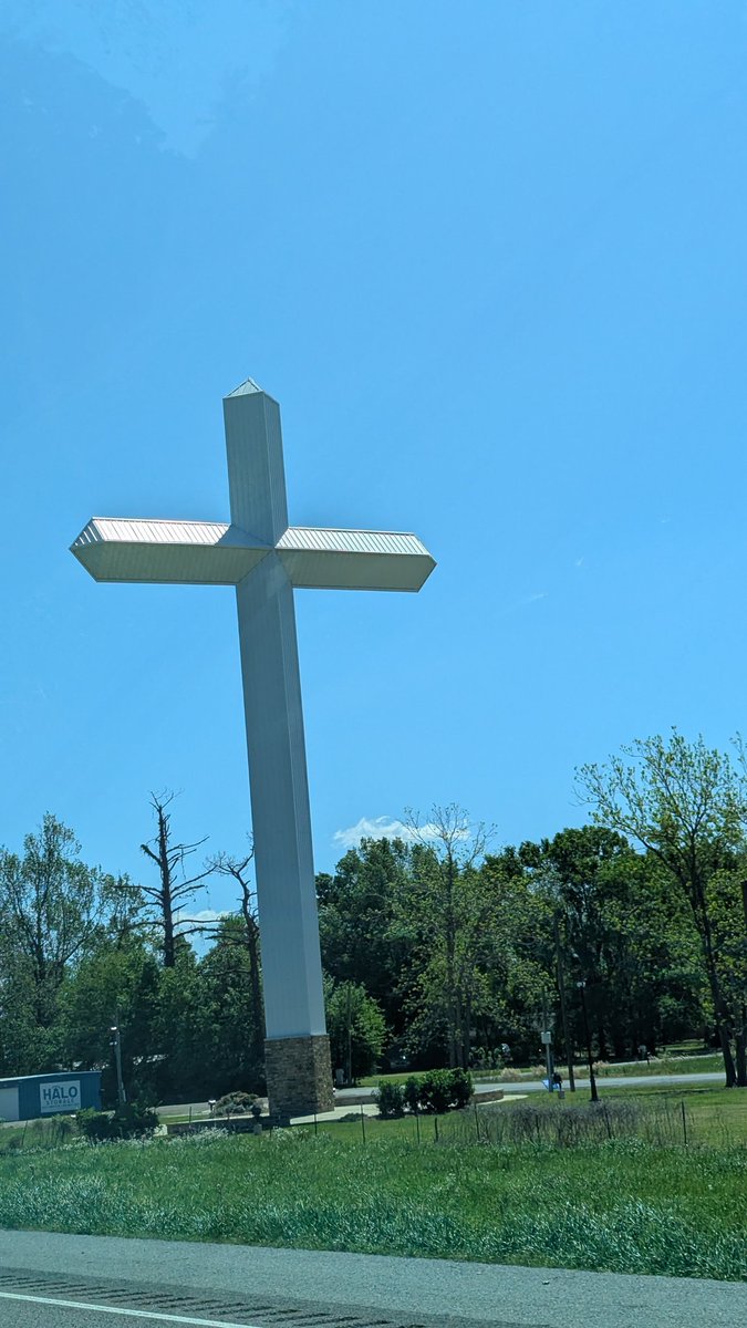 professor lung 💎🙌 tweet media