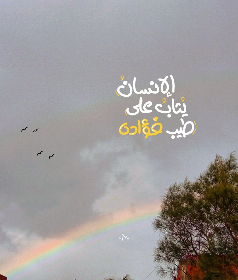 Yara_Alaa_Amer's tweet photo. الإنسانُ يُثابُ عَلى طِيبِ فُؤادِهِ. https://t.co/hDwd2A7Ey5