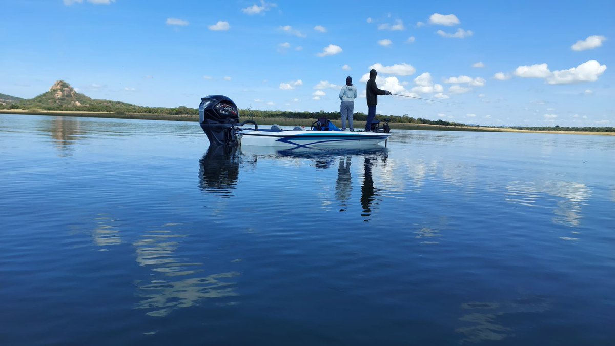 travbabwe's tweet photo. 🎣 https://t.co/tGTZAT0639