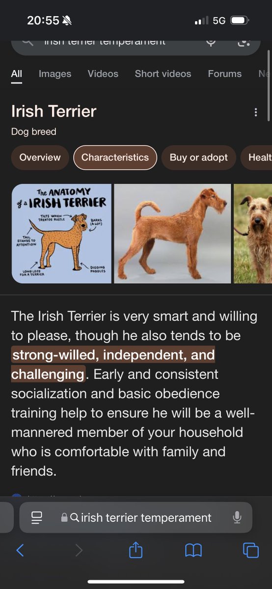 EFprocycling's tweet image. @ ben healy. this u?