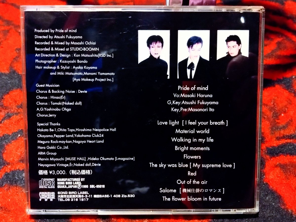 PRIDE OF MINDのCD 「SYSTEMS OF ROMANCE」久しぶりに聴きました