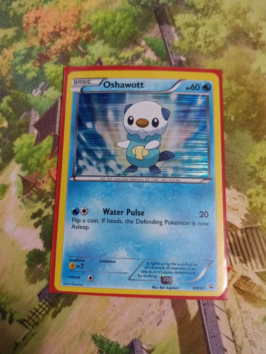 Nx (@nx_samurott) on Twitter photo Thank you <a href="/DVanbarriger/">Deanna (this is my only account)</a> for the latest addition to my Oshawott evolution line collection! Which I have admittedly been slacking on. Thank you <a href="/DVanbarriger/">Deanna (this is my only account)</a> for the latest addition to my Oshawott evolution line collection! Which I have admittedly been slacking on.