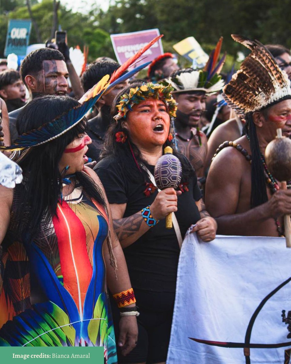 Yesterday, thousands of Indigenous leaders and allies marched through Brasília in the “The Answer Is Us” demonstration, a powerful call to defend constitutional rights and ancestral lands. This mobilization underscores the critical role Indigenous communities play in safeguarding