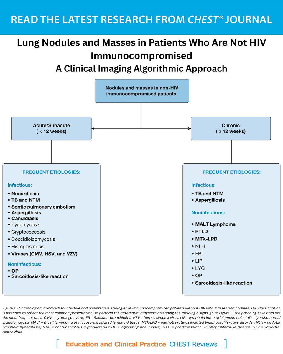 accpchest's tweet photo. A #CHESTReview presents an algorithmic approach for differentiating between various causes of pulmonary nodules &amp; masses in individuals without #HIV who are #immunocompromised, providing a valuable tool for clinical practice. Read more: https://t.co/4wuoTWGSqD
#MedTwitter #MedEd https://t.co/nYtpreqiaG