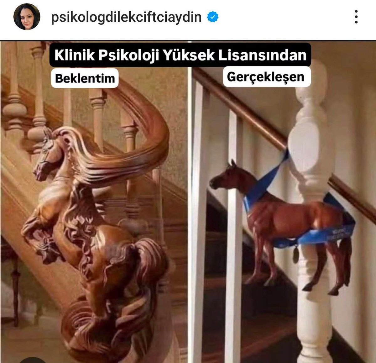 elifderd's tweet photo. #LisansımYetkimdir https://t.co/fLYJt6bKk8