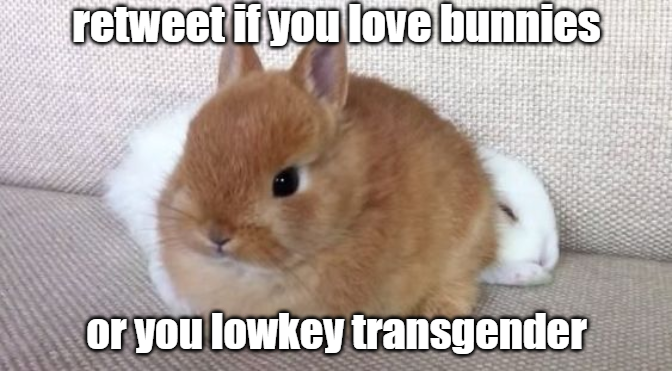 forestdruiddyke's tweet image. i'm both