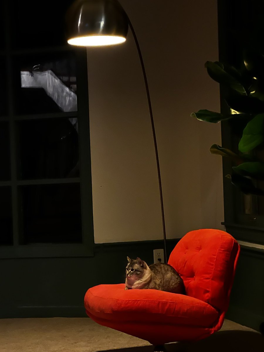 bought a house btw and bib fucks with it tremendously