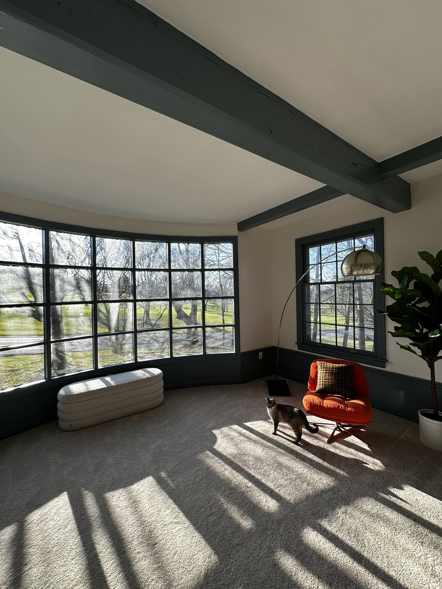 mike webb tweet media