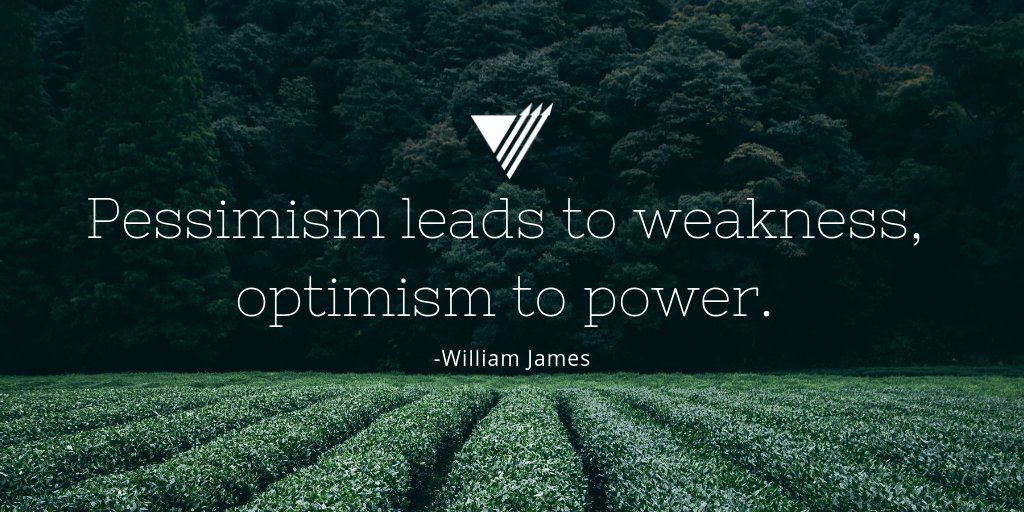 Vector Marketing tweet media