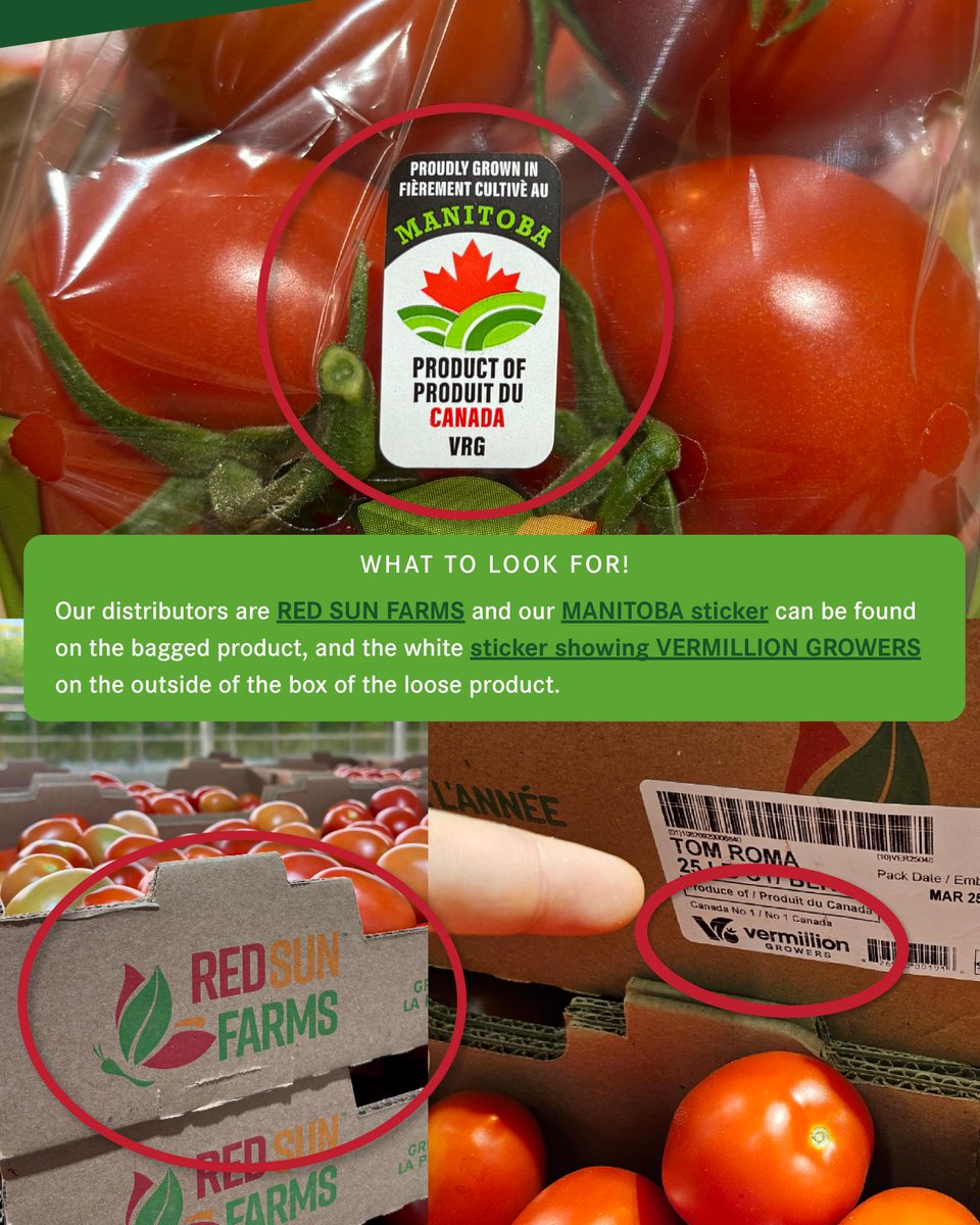 It's Time for a Tomato "Egg Hunt"!
 
-1 Spot our juicy, fresh tomatoes on the shelves.
-2 Snap a pic with our Vermillion beauties.
-3 hare your photo in the comments with the location and store!
 
We will randomly select one post and send you a flat of our delicious tomatoes!