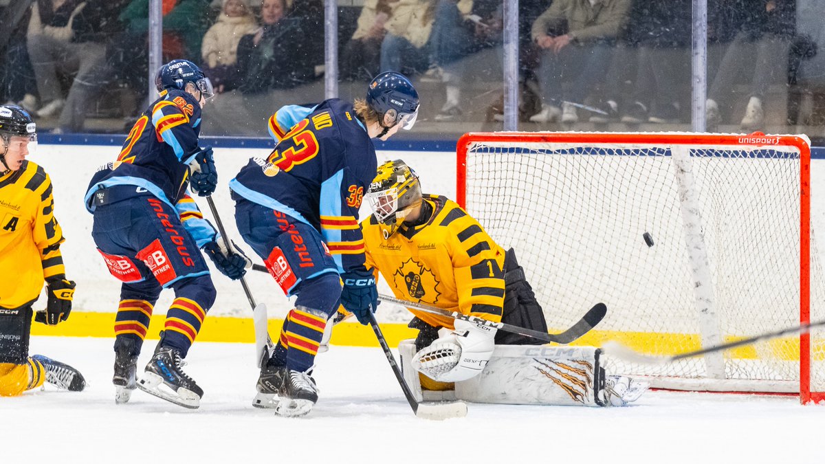 Djurgården Hockey tweet media