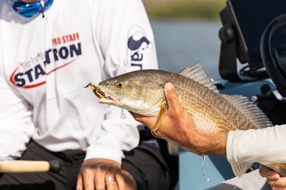 That redfish drip...😤 

<a href="/star_tron/">tron_star</a> <a href="/thefloridakeys/">The Florida Keys & Key West</a> <a href="/BerkleyFishing/">BerkleyFishing</a>