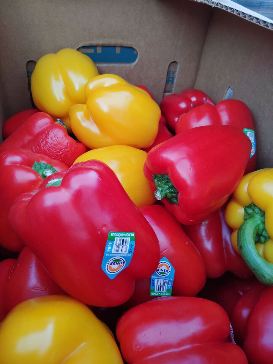 ever seen peppers so gorg? we have thousands of pounds of em