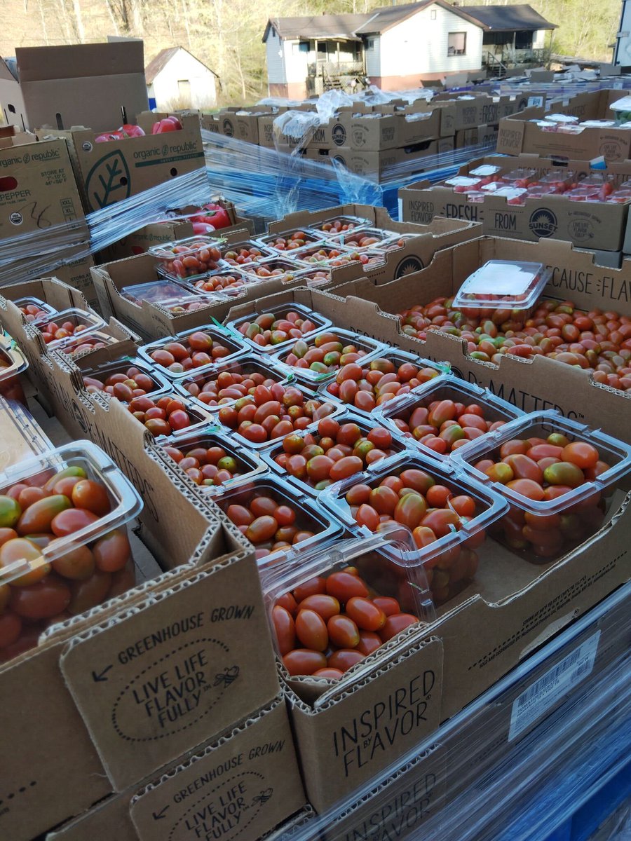ok, NOW its tomato season