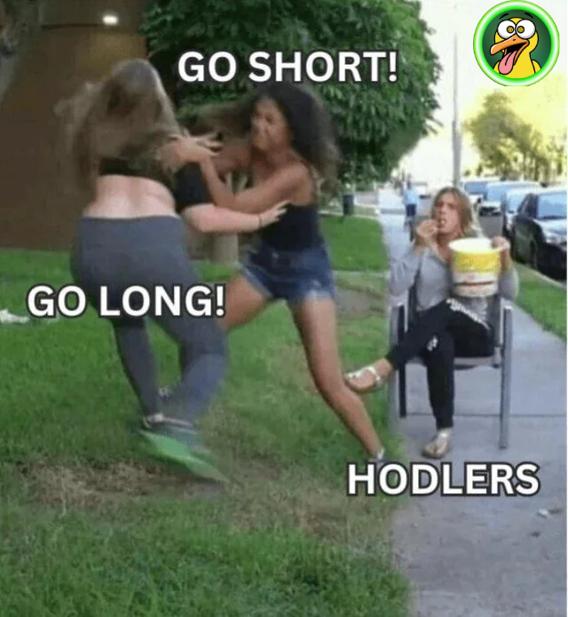 PsychoCoinFuel's tweet photo. Market fights, HODL delights... 🤪💸

Quack Quack! 🤪🐥 https://t.co/TXQmucHjcT