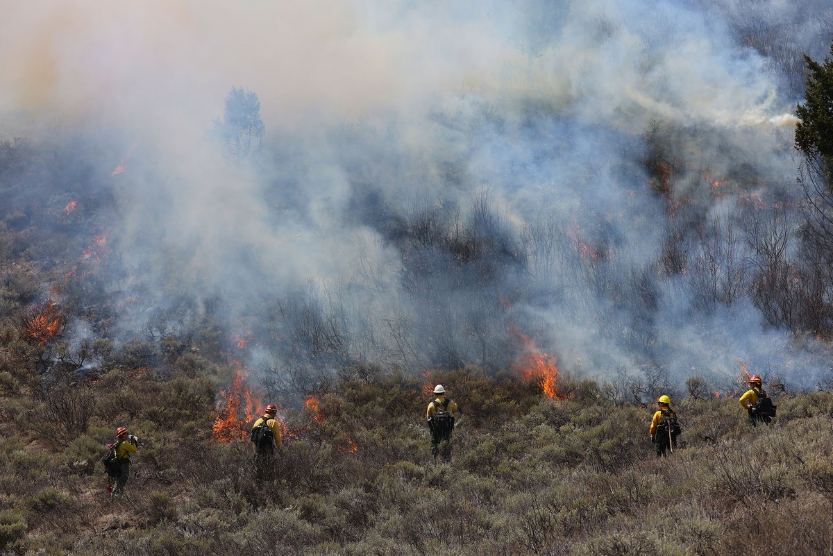 The BTNF began prescribed fire operations on Munger Mountain south of Jackson yesterday. Fire managers estimate approximately 45 acres were burned amidst persisting patches of snow, which allowed for a desired mosaic pattern of burned and burned areas.
