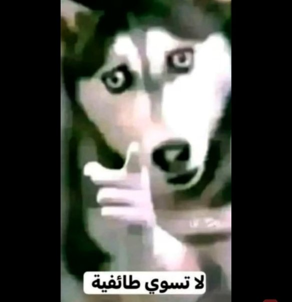 kemo0o98's tweet photo. @abashrafmahdy https://t.co/FYO0TcDsAE
