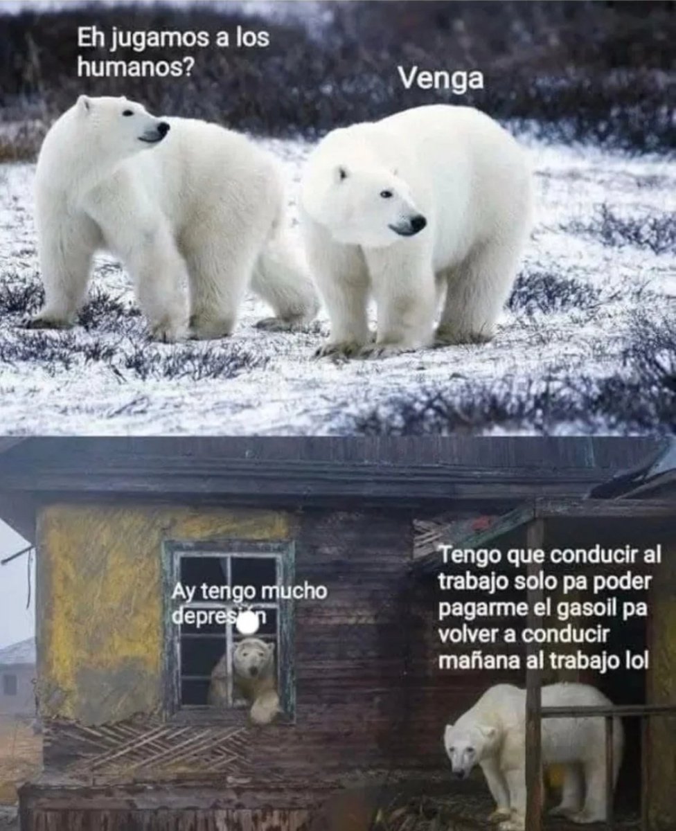 Ana_LaPatata (@ymuchosmemes) on Twitter photo 