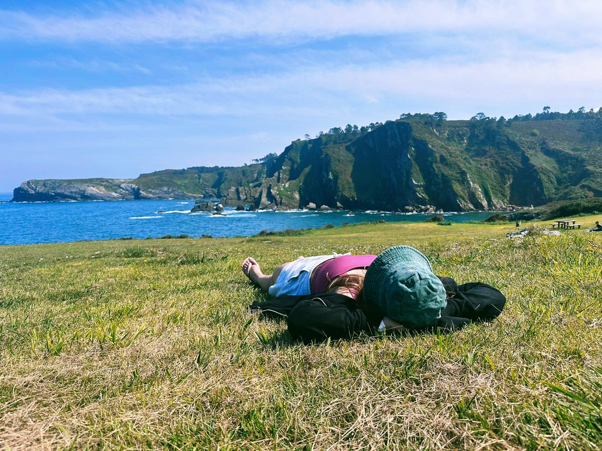 bastian_lidhia's tweet photo. Antes de que se echase a llover 🌻☀️ #asturias #muniellos #paraisonatural #abril https://t.co/2JgGhDgZe8