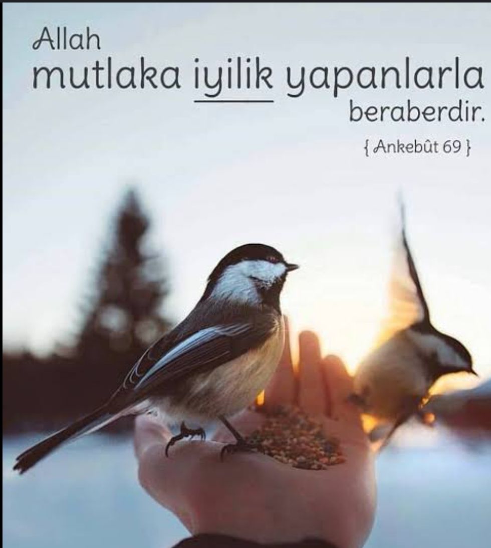 "ALLAH İYİLİK YAPANLARLA
BERABERDİR" ALLAH C.C