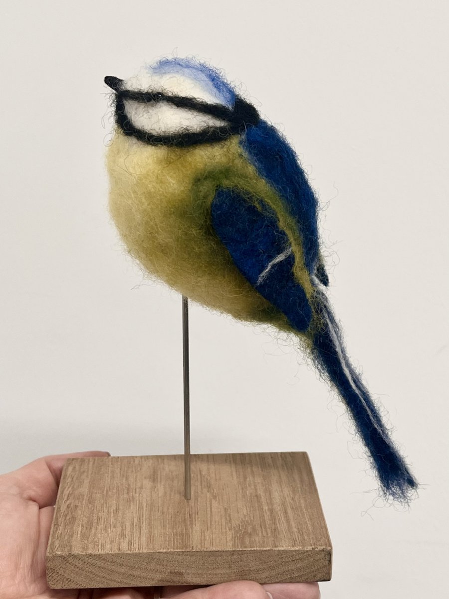 HERADundee tweet media