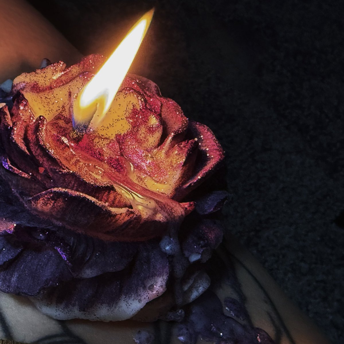 月亮🦋 (@winter02150) on Twitter photo 