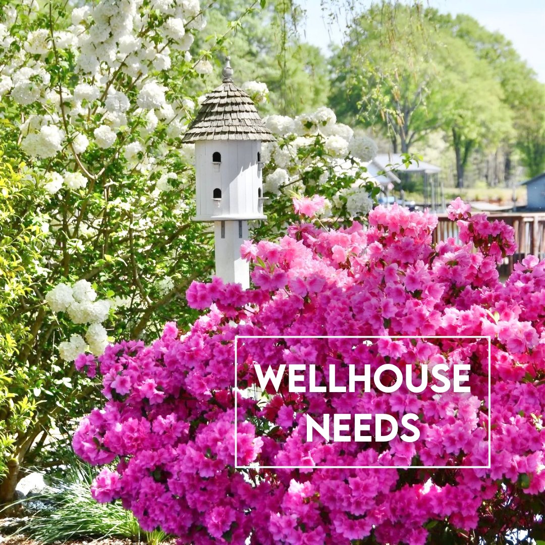 Each month, we create a Wish List filled with items needed by women, girls, and staff at The WellHouse.

Every item you give, no matter how big or small, makes a real difference in the lives of those we care for.

myregistry.com/organization/t…