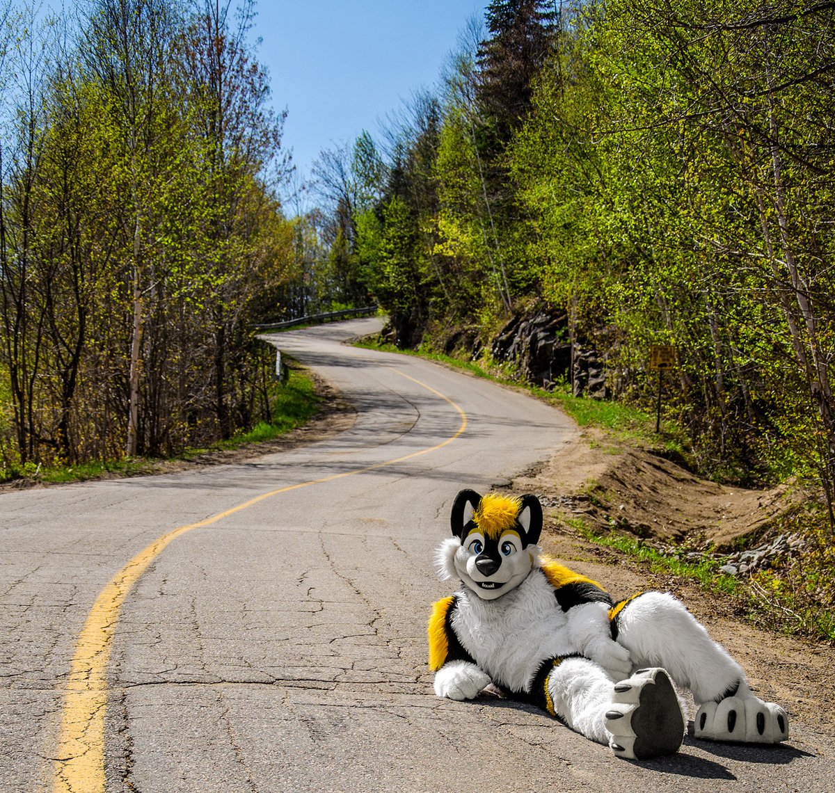 I miss summer ! Can't wait to see and feel warm and nice temperature once again ^_^

#fursuitfriday