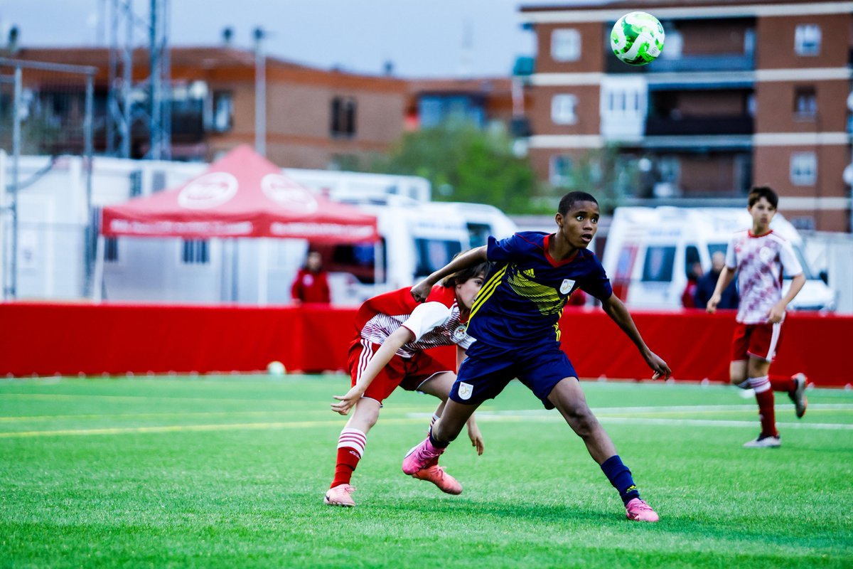Federació Catalana de Futbol tweet media