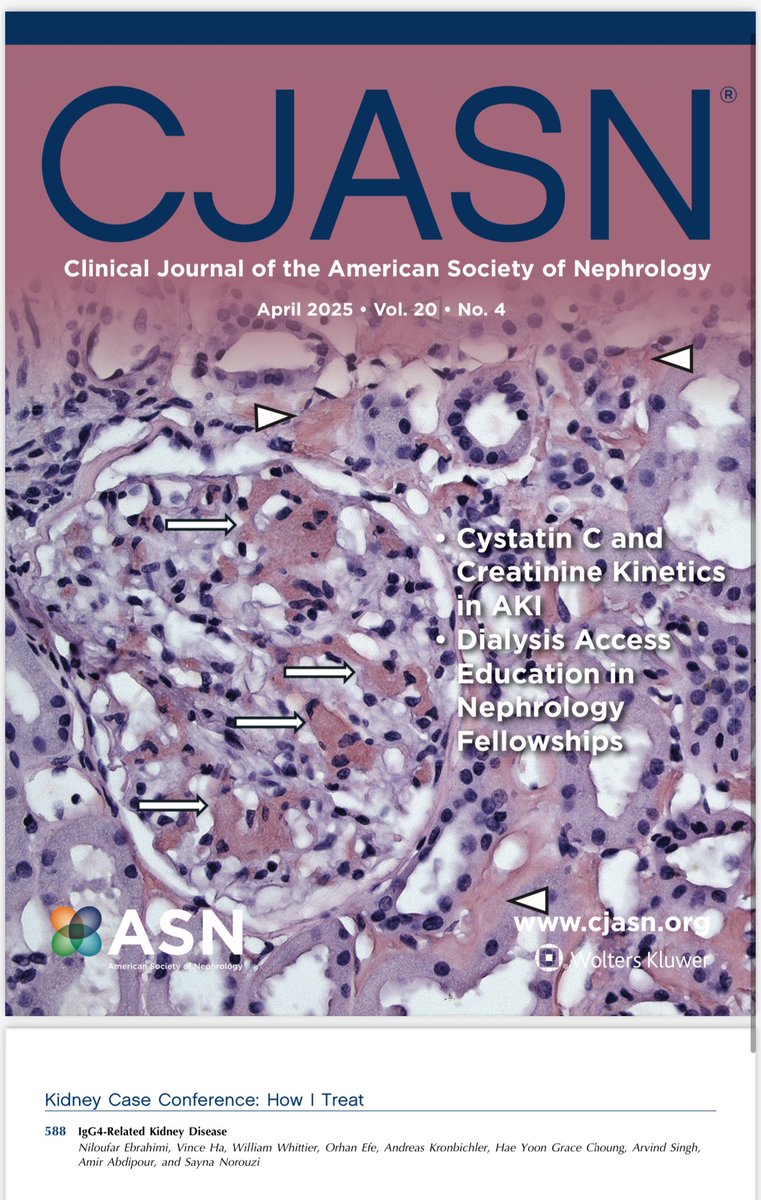Sayna Norouzi, MD, FASN (@saynanorouzi) on Twitter photo What a fantastic way to conclude <a href="/nkf/">National Kidney Foundation</a>!!
⭐️The April issue of CJASN <a href="/asnpublications/">ASN Publications</a> features an interesting case of Amyloidosis on the cover, while the first paper presents a valuable teaching case on IgG4-related kidney disease.⭐️
Such a pleasure to collaborate with experts in What a fantastic way to conclude <a href="/nkf/">National Kidney Foundation</a>!!
⭐️The April issue of CJASN <a href="/asnpublications/">ASN Publications</a> features an interesting case of Amyloidosis on the cover, while the first paper presents a valuable teaching case on IgG4-related kidney disease.⭐️
Such a pleasure to collaborate with experts in