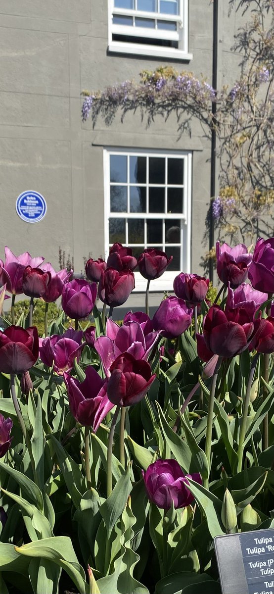 🌱Des Clark💙❤️🦅⚽️🏆🥾 tweet media