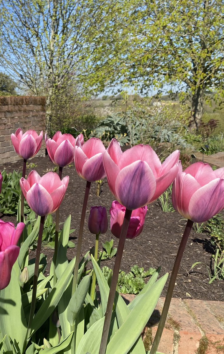 🌱Des Clark💙❤️🦅⚽️🏆🥾 tweet media