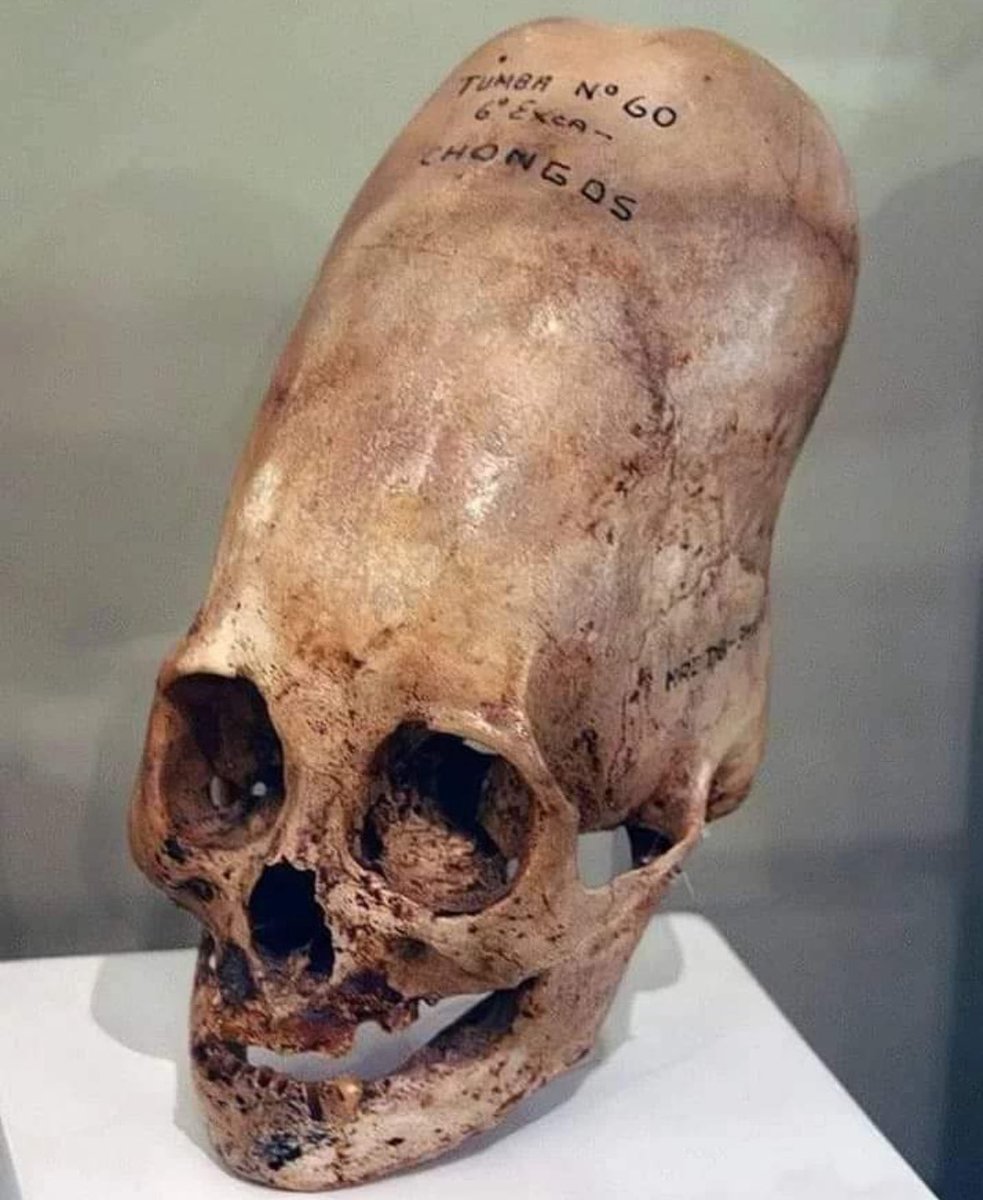 FLAT OUT TRUTH tweet media