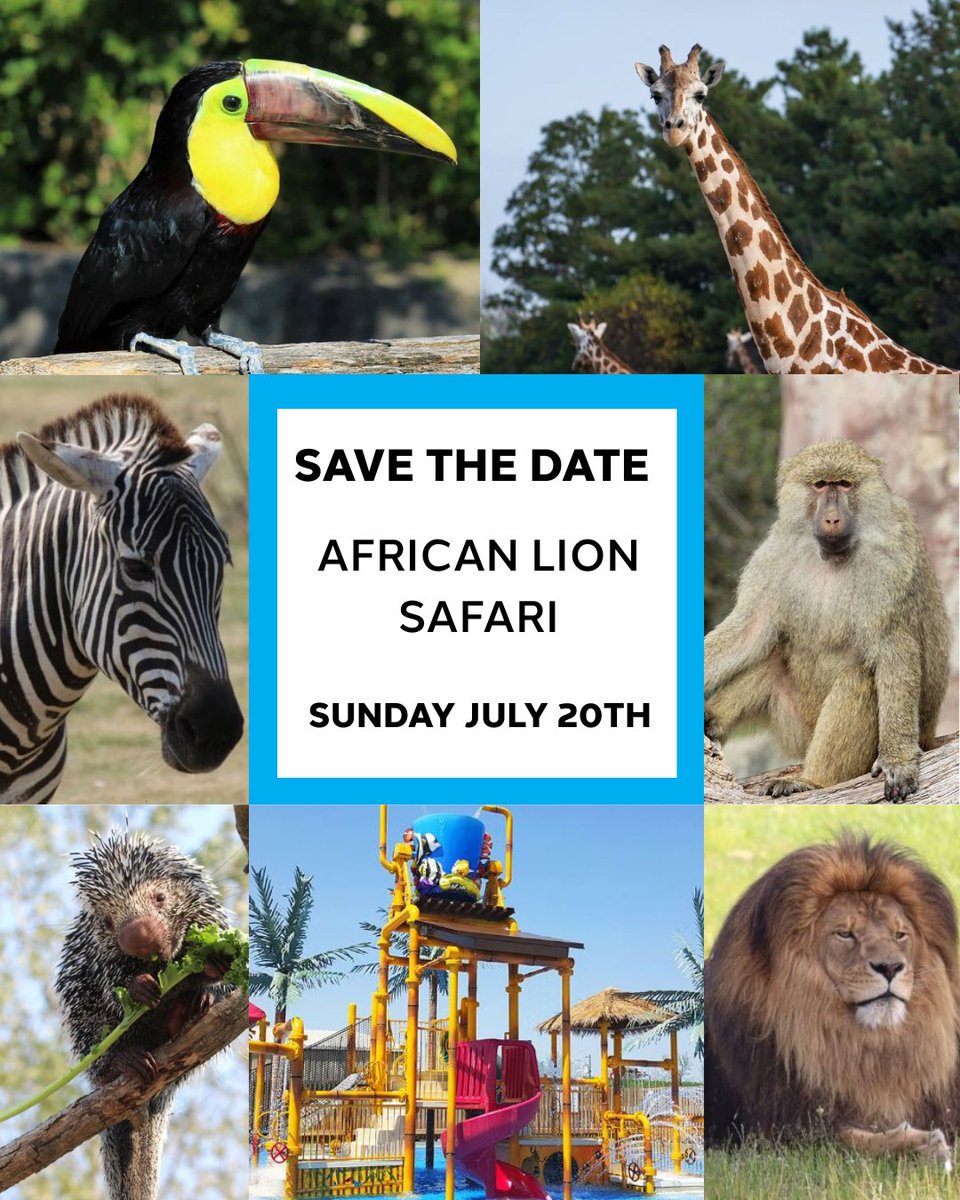 Local 18 Carpenters tweet media