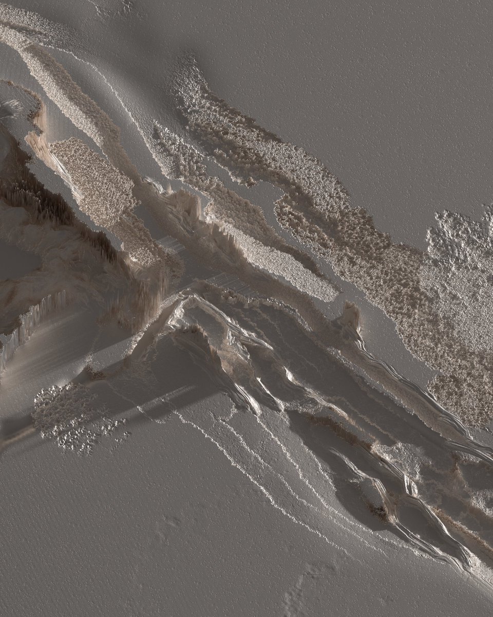 drbolick tweet media