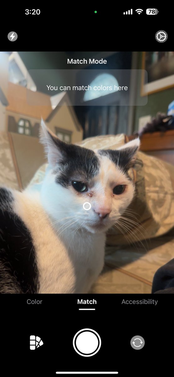 WellsTalks's tweet photo. I may be adding a live color matching feature as well as a live accessibility view to ColorSense for v1.2 👀

Here’s hoping colorblind individuals like myself can find some use from my app 😊

https://t.co/eiJaatroKx https://t.co/upDpvDKdyl
