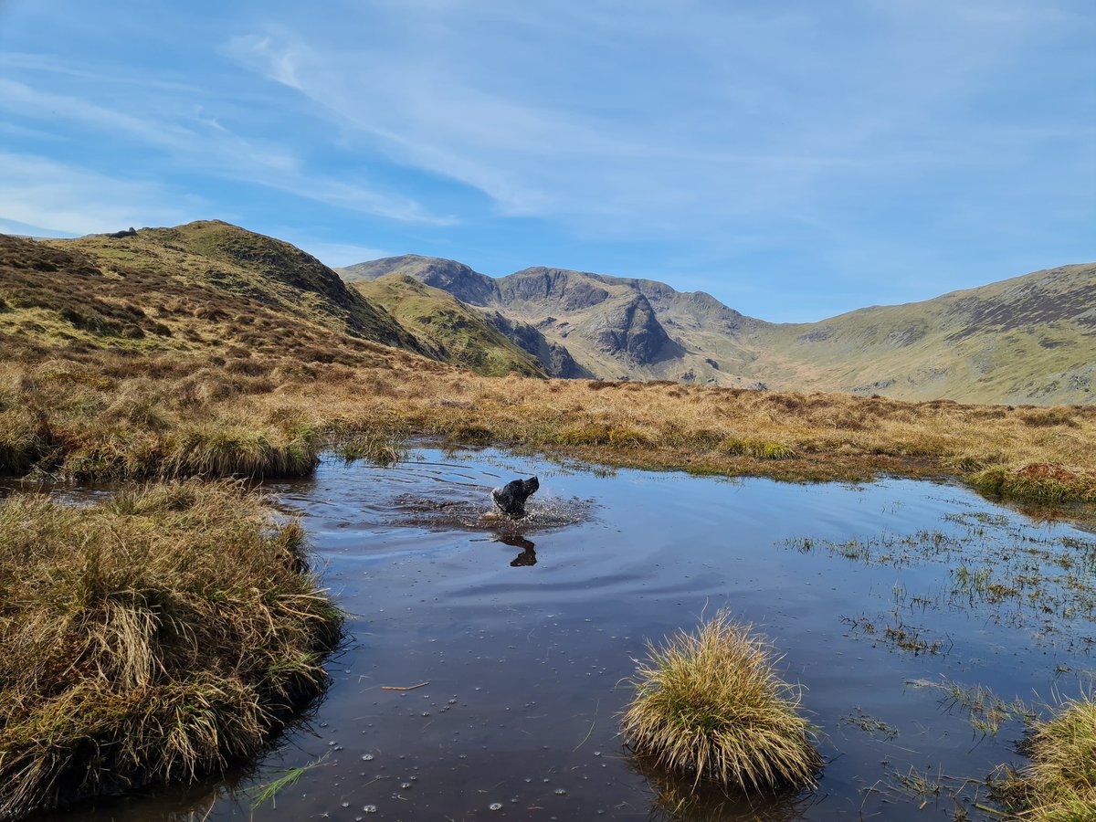 DFS8's tweet image. 1 today! Happy bday mowgli, think he's had a good un