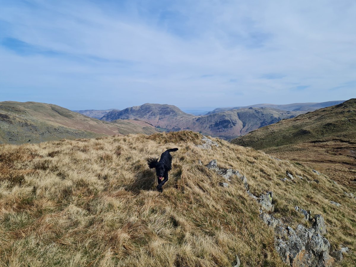 DFS8's tweet image. 1 today! Happy bday mowgli, think he's had a good un