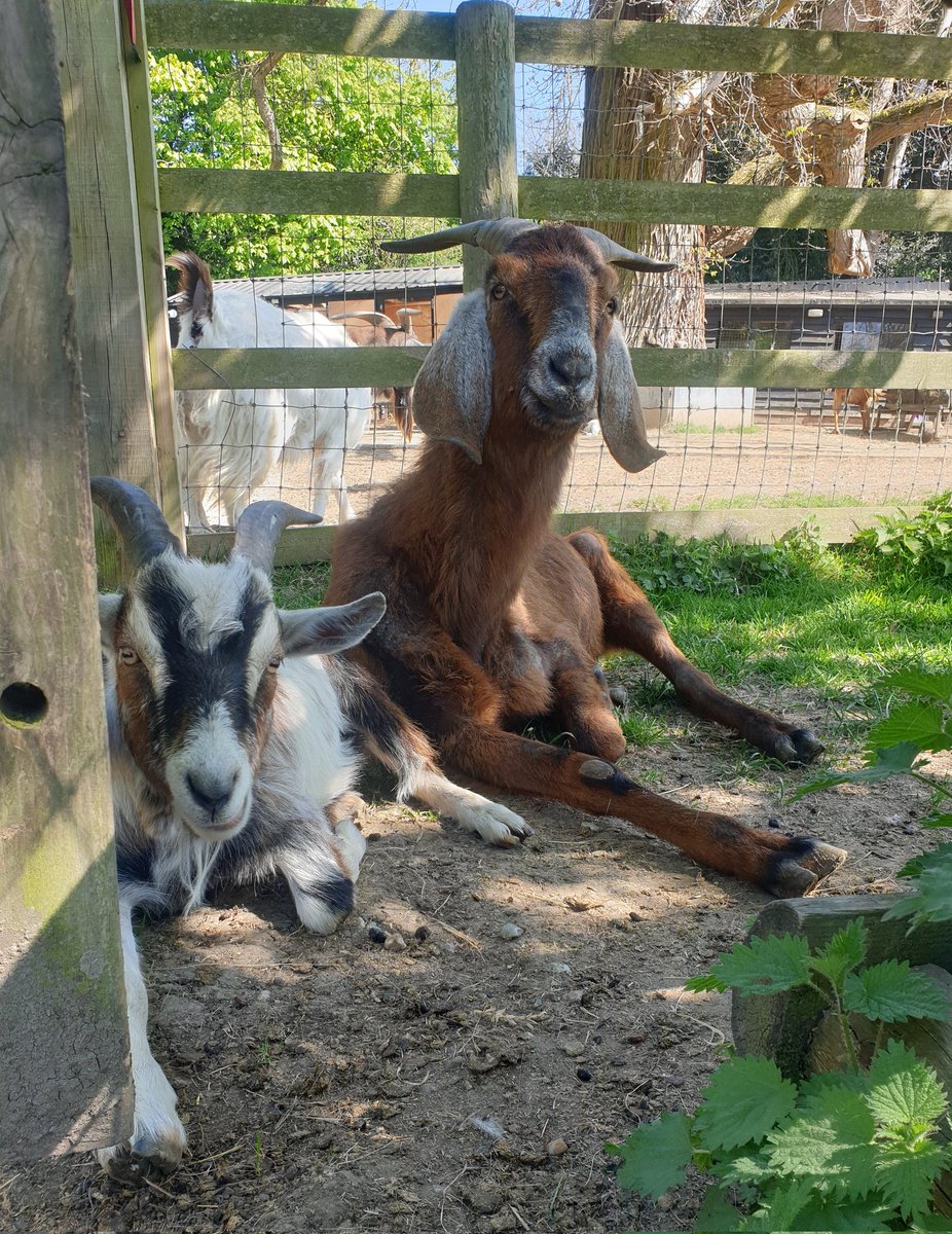 Jeremy and Luke 😊