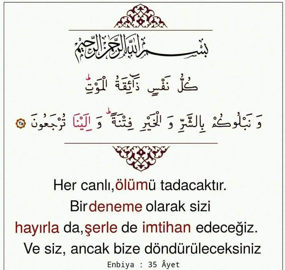 Naime H (@naimeh123) on Twitter photo 